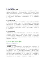 [마케팅전략] 밀리오레 마케팅분석과 문제점 분석 및 대안 제시-13