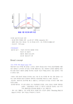 [마케팅전략]롯데칠성 `2%부족할때` 새로운 마케팅분석-10
