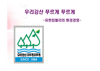 [경영전략]유한킴벌리 경영분석-1