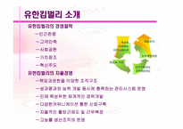 [경영전략]유한킴벌리 경영분석-3