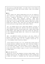 [스포츠마케팅] 나이키사례-12
