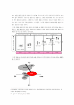 [광고론] LG싸이언 DMB폰 광고기획안-7