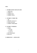 [국제경영사례분석] 오로라월드의 세계경영-2