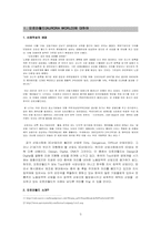 [국제경영사례분석] 오로라월드의 세계경영-3