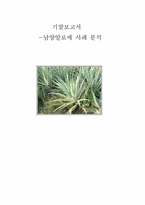 남양알로에의 해외진출사례분석-1