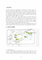 [국제통상] 산동성의 지역경제-3