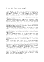 [국제경영전략] mp3플레이어 `아이리버` 프랑스시장진출전략 -유럽시장진출전략-1