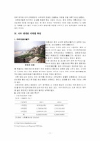 [국제통상] 중국서부대개발의 문제점-6