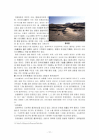 [국제통상] 중국서부대개발의 문제점-12