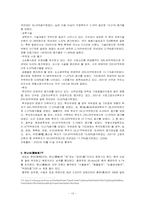 [국제통상] 중국서부대개발의 문제점-13