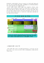 [레포트]포스코의 경영혁신(ERP추진기)-3