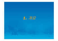 [통신산업][경영정보과학부]차세대 무선인터넷 기술의 활용과 전망-3