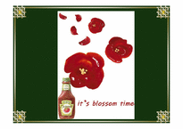 [광고제작] Heinz Organic Ketchup 광고제작-17