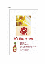 [광고제작] Heinz Organic Ketchup 광고기안서-19