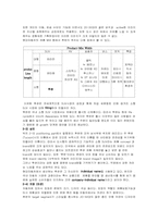 [경영] tucson 투싼 분석-4