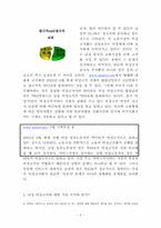 [여성문제] 여성비정규직에 관한 고찰-5