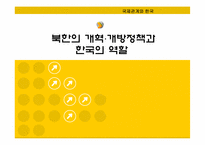 [국제관계] 북한의 개혁 개방정책과 한국의 역할-1