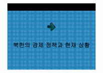[국제관계] 북한의 개혁 개방정책과 한국의 역할-3