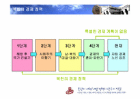 [국제관계] 북한의 개혁 개방정책과 한국의 역할-4