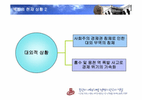 [국제관계] 북한의 개혁 개방정책과 한국의 역할-9
