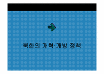 [국제관계] 북한의 개혁 개방정책과 한국의 역할-10