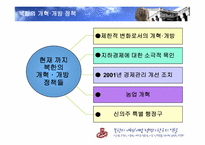 [국제관계] 북한의 개혁 개방정책과 한국의 역할-12
