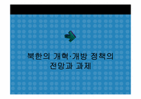[국제관계] 북한의 개혁 개방정책과 한국의 역할-15