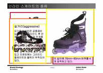 [브랜드관리] 롤러블레이드와 나이키 인라인스케이트-7