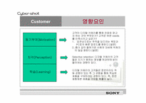 [마케팅] 소니스타일 사이버샷 마케팅분석-12