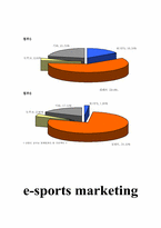 [인터넷스포츠마케팅] e-sports 마케팅사례와 전망-10