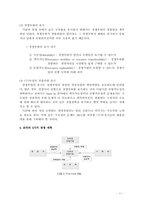 [전략경영](주)두성기술 경영전략-11