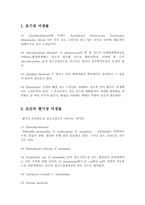 [초지학] 질소고정하는 단생미생물에 대하여-2