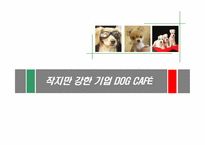 [마케팅] 도그카페 마케팅전략-1