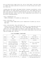[자동차유통] 우리나라 자동차산업의 바람직한 유통구조-9