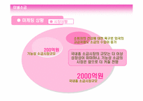 [광고전략기획서] 미넬소금의 성공적인 시장진입을 위한 전략기획서-5