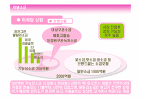 [광고전략기획서] 미넬소금의 성공적인 시장진입을 위한 전략기획서-6