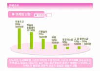 [광고전략기획서] 미넬소금의 성공적인 시장진입을 위한 전략기획서-7
