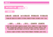 [광고전략기획서] 미넬소금의 성공적인 시장진입을 위한 전략기획서-11