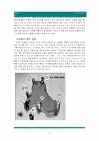 [아랍정치사회연구] 역사와 정치를 중심으로 본 이란-13