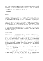 [에너지환경] 지구온난화와 우리의 전략적 대응-14