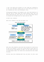 [경영, 마케팅]<태평양-‘헤라’> ‘헤라` 브랜드의 구축, 마케팅분석과 앞으로의 방향성-6