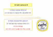 [브랜드전략] 카프리 레몬맥주 브랜드전략-3