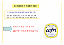 [브랜드전략] 카프리 레몬맥주 브랜드전략-9