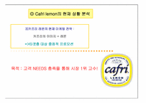 [브랜드전략] 카프리 레몬맥주 브랜드전략-12