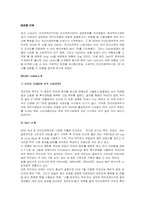[브랜드전략] 카프리 레몬맥주 브랜드전략-2