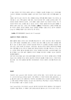 [브랜드전략] 카프리 레몬맥주 브랜드전략-14