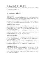 해외인수합병(일렉트로녹스)-10