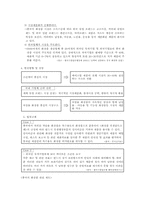 [국제경영] Charmzone참존의 중국진출사례-5