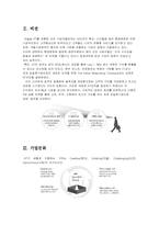 [조직론] KT의 조직구조에 관한 보고서-3