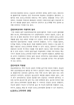 [싸이버커뮤니케이션] 포르노그라피-4